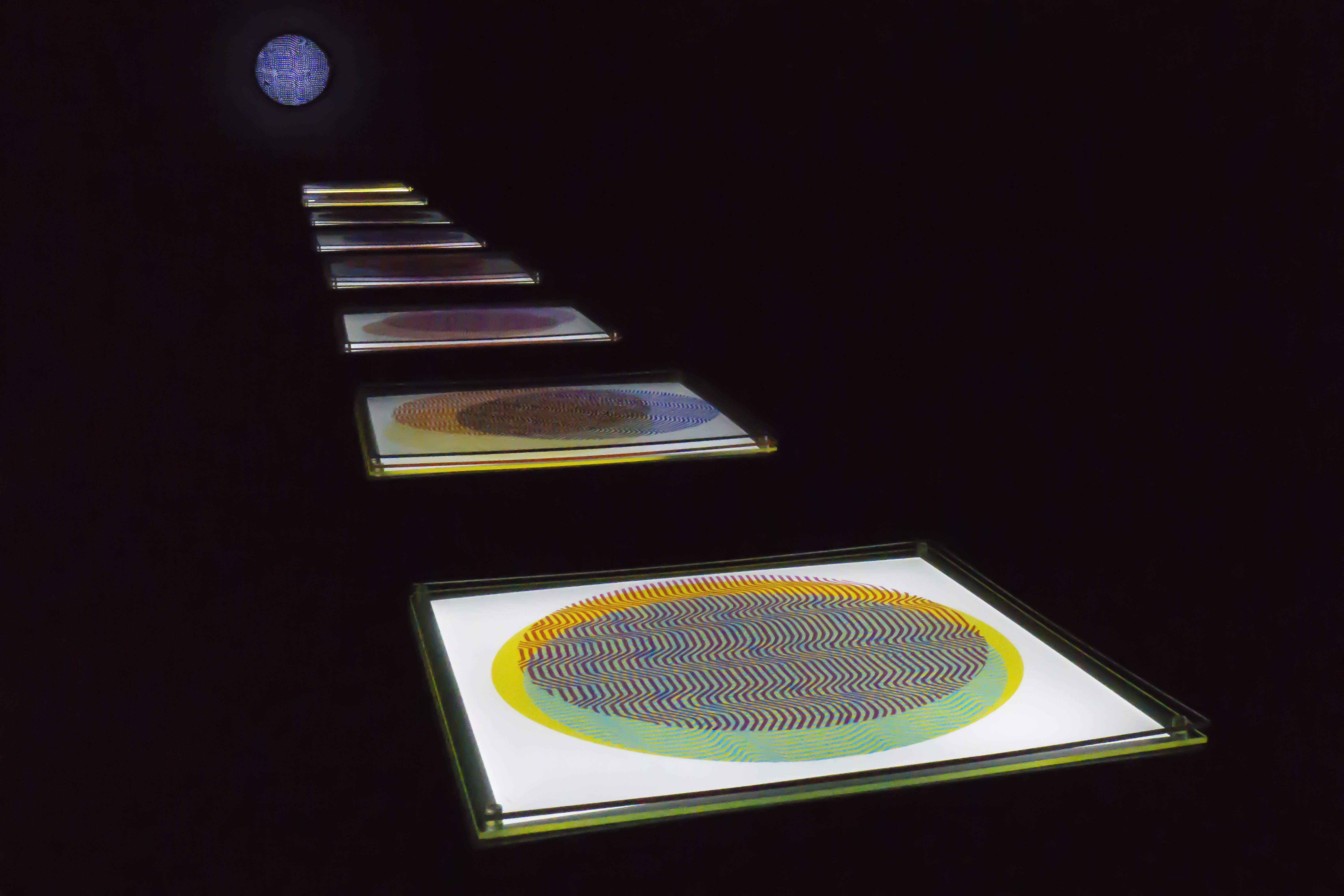 Liliana Iturriaga - Concéntricos